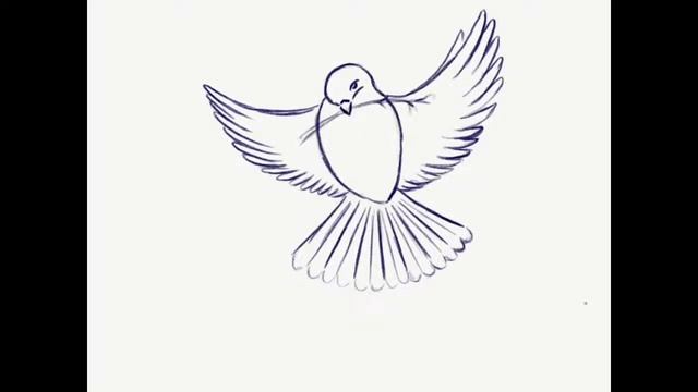 Голубь и веточка вербы Рисование поэтапно карандашом #DrawingforKids #howtodraw Step By Step Drawin