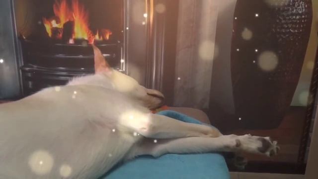 Расслабляющий звук спокойного дыхания поможет уснуть за 5 минут Крепко спать всю ночь Звуки для сна смотреть онлайн