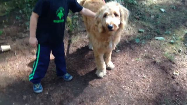 США. Seat/Сидеть! смотреть онлайн