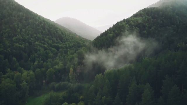 Время приближалось к осени. Туман в горах. АЛТАЙ 2022. Дождливая погода. Аэросъемка смотреть онлайн
