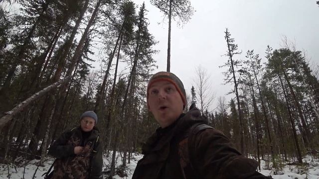 Добыли ГЛУХАРЯ. Охота на боровую дичь. смотреть онлайн