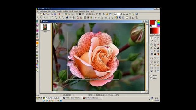 Kijelöléses kép csillógás смотреть онлайн