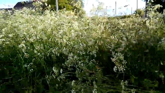 Красота русской деревни смотреть онлайн