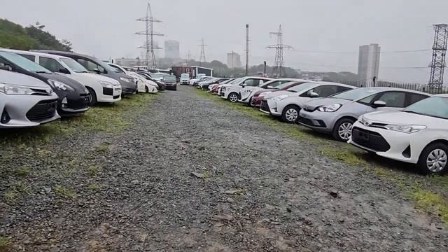 #Владивостокзелёныйугол ЗЕЛЁНКА 2023 АВГУСТ cut part4 смотреть онлайн