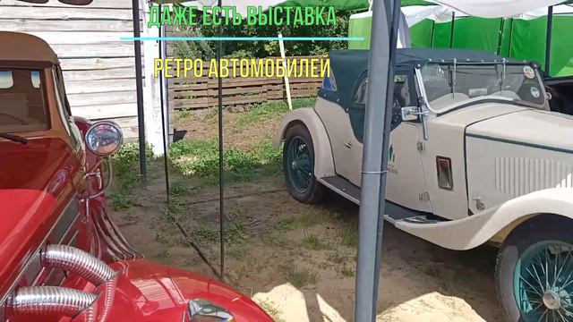 г. Полтава, июль 2022 год, экопарк под Полтавой в селе Ковалёвка , экзотические животные и птицы! смотреть онлайн