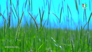 Тоҷикистон - Ховалинг | Tajikistan Khovaling