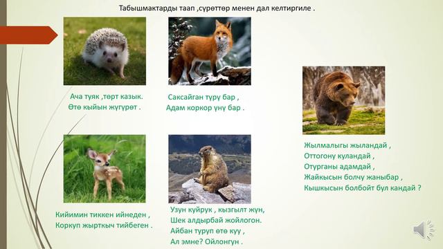 Кыргыз тили .5-класс(орус класстар үчүн )."Сөз өстүрүү сабагы". Мугалим: Абдырова А.Д смотреть онлайн