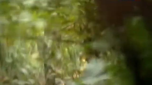 З. Миркина Души не поспевают смотреть онлайн