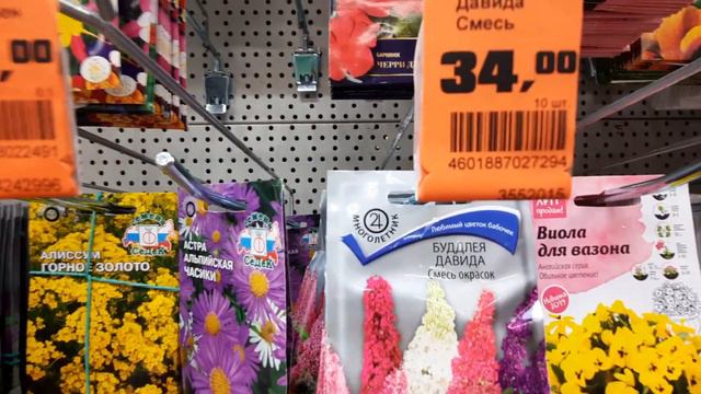 Купила семена вОБИ.Огромный выбор. смотреть онлайн