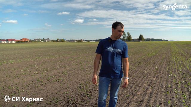 Успешный опыт выращивания озимого рапса в СПК Гожа. СИ Харнас - отличный выбор для легких почв. смотреть онлайн
