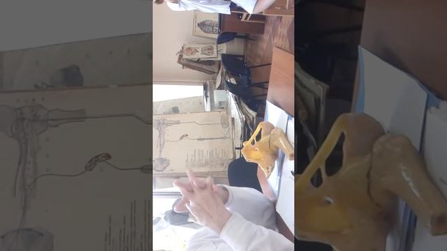 Сосуды нижних конечностей смотреть онлайн