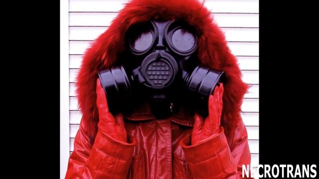 ЧЕШСКИЙ ПРОТИВОГАЗ ОМ-90 С ФИЛЬТРАМИ ГП-7К + КРАСНАЯ КОЖАНАЯ ДЛИННАЯ КУРТКА С КРАСНЫМ МЕХОМ + ЛОСИН смотреть онлайн