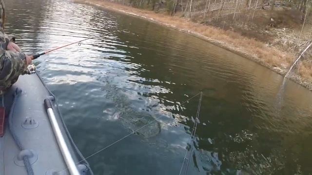 Лучшие блесна! Колебалки. Блесна мепс циклоп, блесна атом и др. колеблющиеся блесны. Блесна на окун