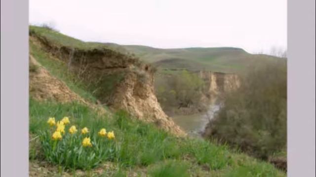 ЗЕЛЕНОКУМСК река КУМА смотреть онлайн