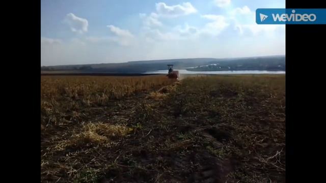УБОРКА ФАСОЛЬ 2016✔Комбаин KUBOTA✅ТРАКТОР МТЗ 82 смотреть онлайн