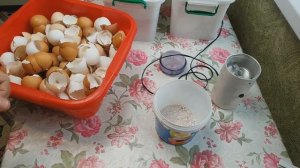 Яичная скорлупа как удобрение для огорода