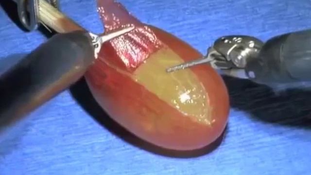 Чудо технологий