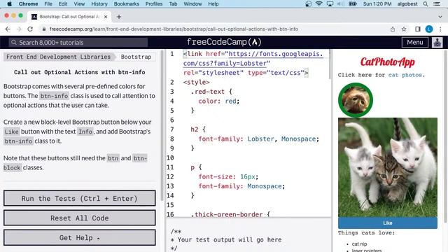 freeCodeCamp - Front End Development Libraries - Bootstrap - Solutions - Part 1 смотреть онлайн