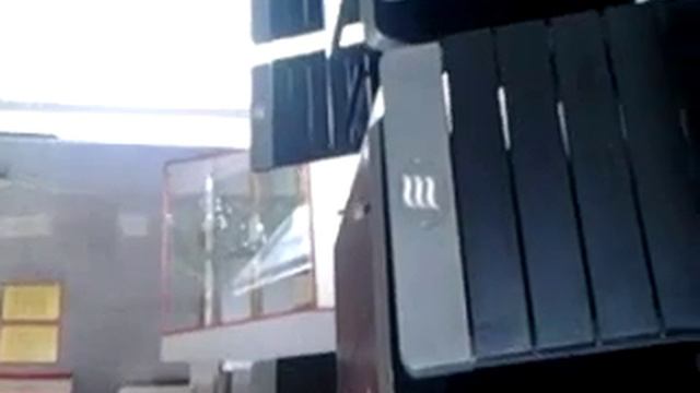 Воробей залетел в кафе смотреть онлайн