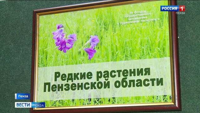 У пензенцев есть возможность увидеть исчезающие растения региона смотреть онлайн