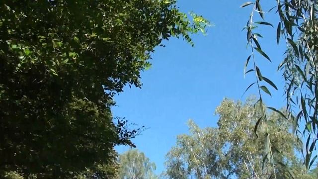 Читаем стихи Николая Гумилёва в Кисловодском парке смотреть онлайн