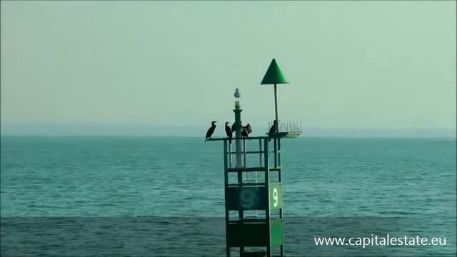 Купить и продать недвижимость в Бургасе смотреть онлайн