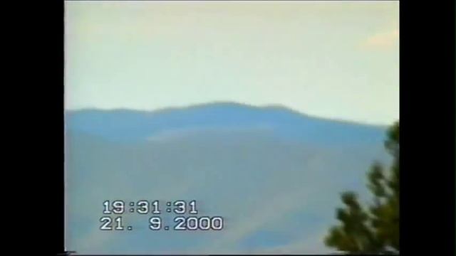 Животные лесной зоны.wmv смотреть онлайн