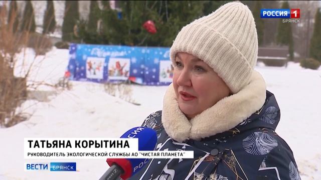 В Брянске стартовала традиционная акция по утилизации новогодних елок "Елочный круговорот" смотреть онлайн