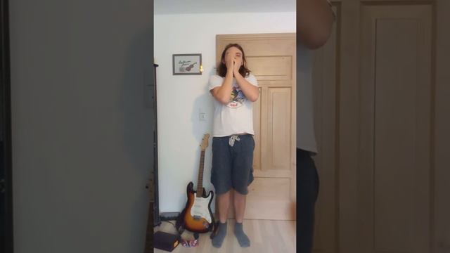 Александр Ливер - Тендер (исполнение на губной гармошке) смотреть онлайн