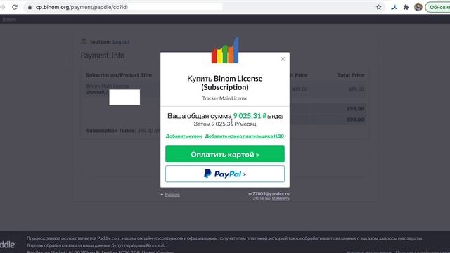 Как обойти НДС при покупке через Paddle.com (на примере оплаты трекера binom.org) смотреть онлайн