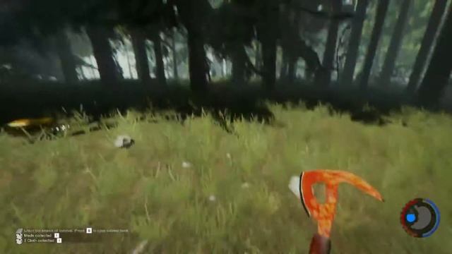 The Forest AMD A10 7700K + Radeon RX 460 (2GB) смотреть онлайн