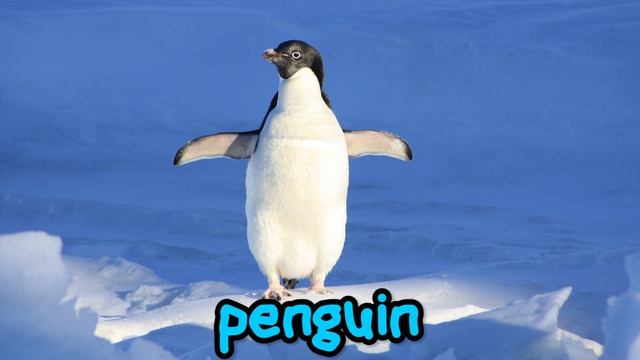 Learning Zoo Animals Names For Children - First Words For Toddlers, Babies, Kindergarten, Kids