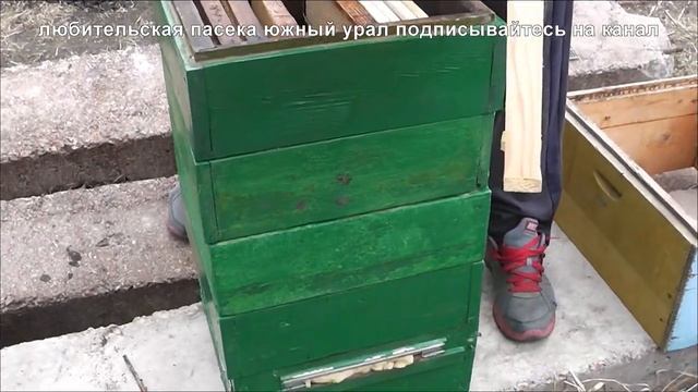 как заселить альпийский улей пчелопакетом,улей удав.мфу улья.заселение улья удав