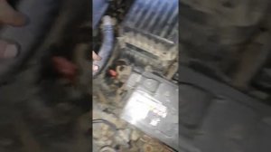 замена масла акпп.хендай соната ,,тагаз»