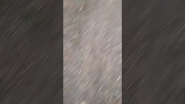 Редкино смотреть онлайн