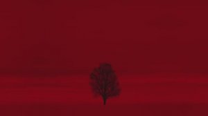 Wardruna - Skugge (Shadow) Official Music Video