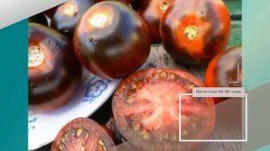 Томат "Жженый сахар" - описание сорта