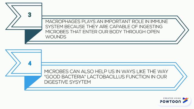 PHARMACEUTICAL MICROBIOLOGY PHARMACY JULY'18 смотреть онлайн