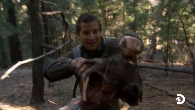 What is Bear Grylls’ net worth? His Impressive Biography смотреть онлайн