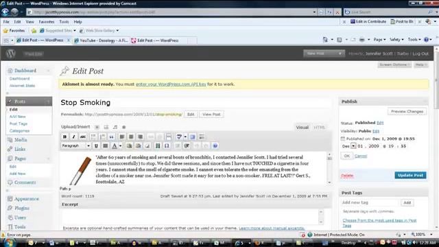 Wordpress for Beginners - Admin Area смотреть онлайн