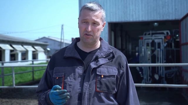 Как обрезать копыта корове? Рассказываем все о профилактике хромоты у крупного рогатого скота. смотреть онлайн