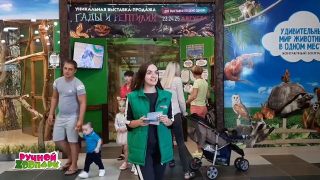 ZооЛяпы |"Ручной Zоопарк"| г.Волгоград смотреть онлайн