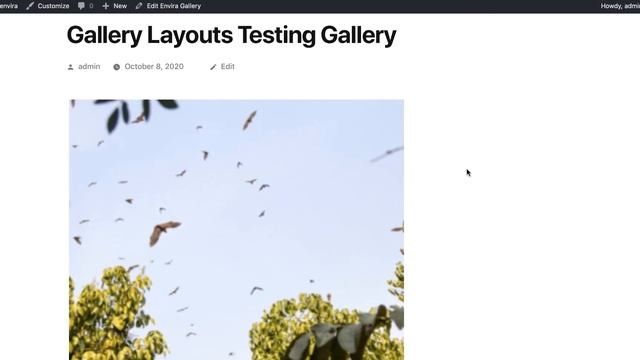 How to Use Pre-Built Gallery Layouts for WordPress смотреть онлайн