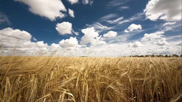 Россия 05-05-2023 смотреть онлайн