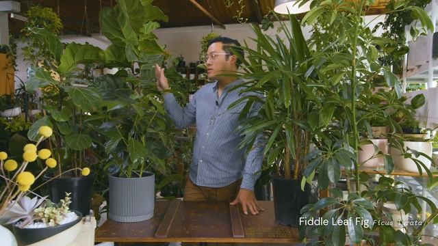 Organise your bathroom, keep your plants healthy, microapartments for families - SMALL LIVING ep.6 смотреть онлайн