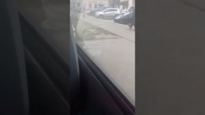 Поездка в г. Иваново на 150 маршруте от ул. Станционой до пл. Пушкина автобус паз вектор 12356 (а).