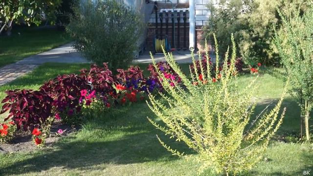 Участок2022 смотреть онлайн