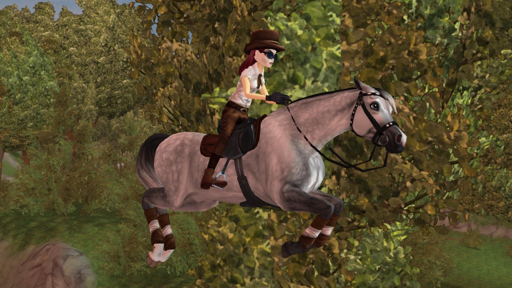 Star Stable?Качаем лошадок