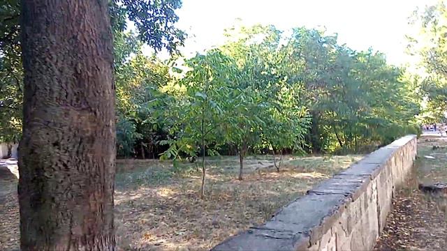 Краткий обзор школы №1 - лицея г. Лисичанска. Сентябрь 2020г... смотреть онлайн