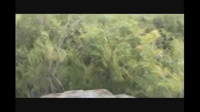 Снегоболотоход Bonai / shockauto.ru смотреть онлайн